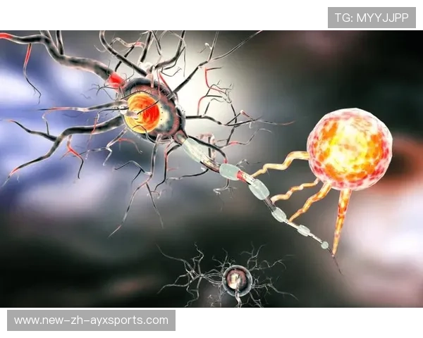 协作完美：团队逆转的“秘密武器”！